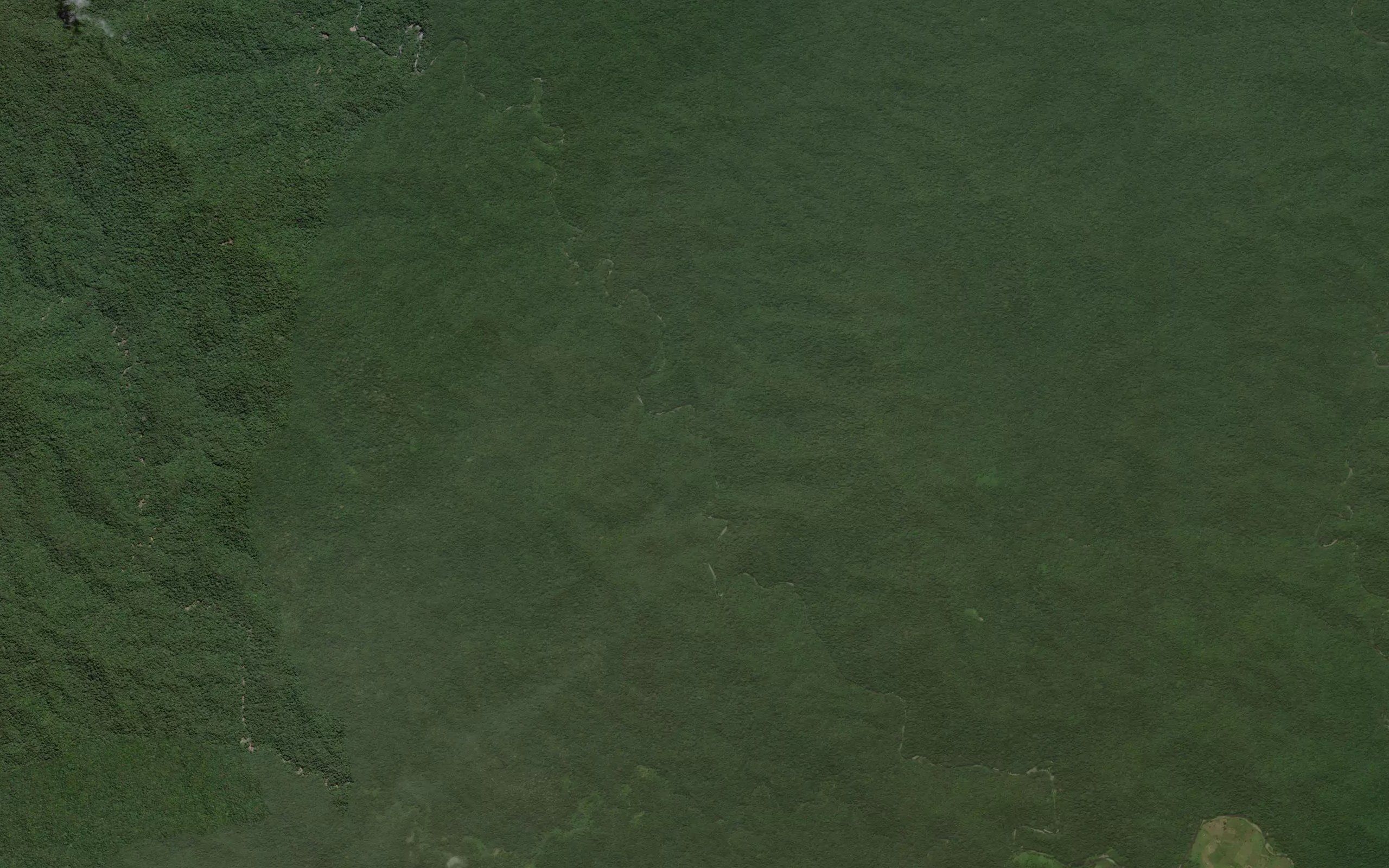 Dutula Dulupi