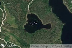 Tapli