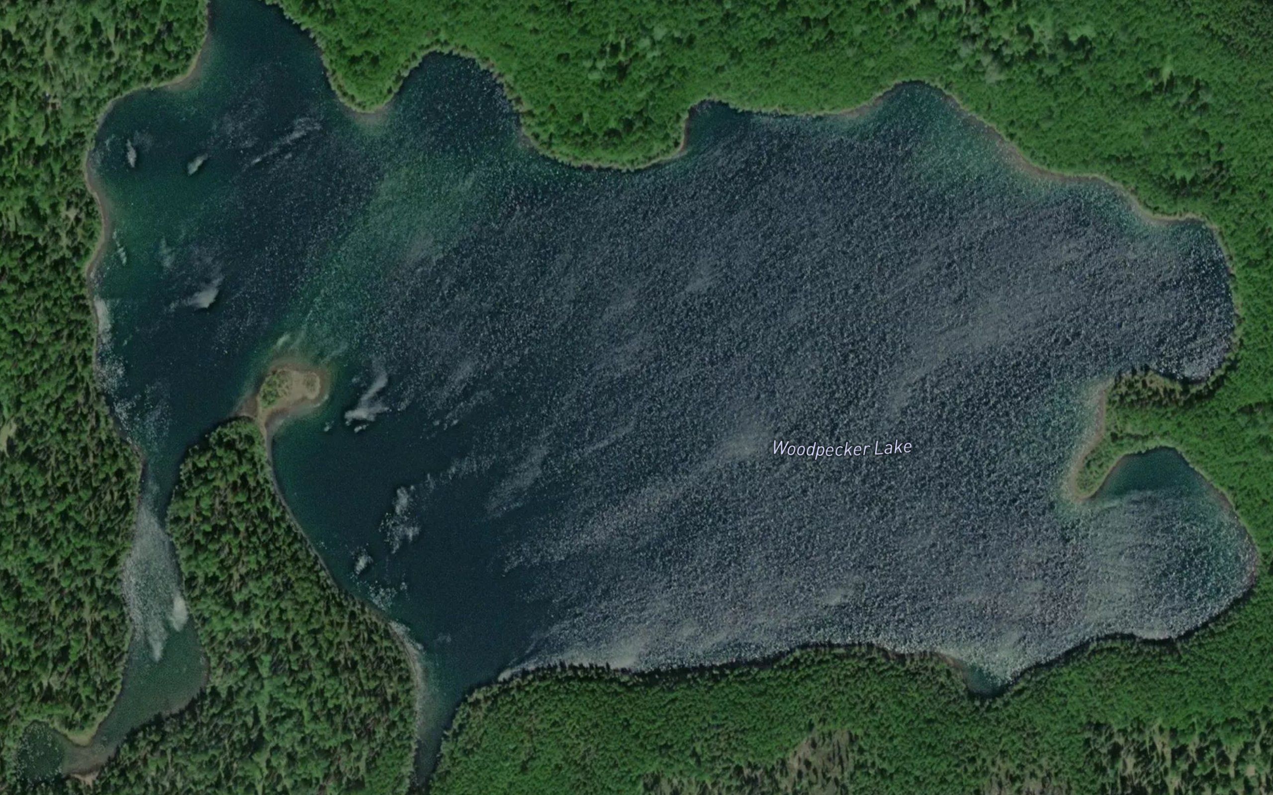 Woodpecker Lake