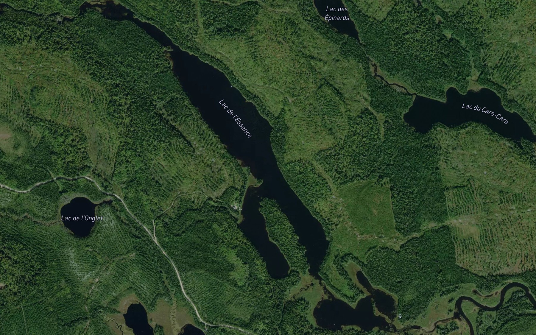 Satellite map of the Lac de l'Essence