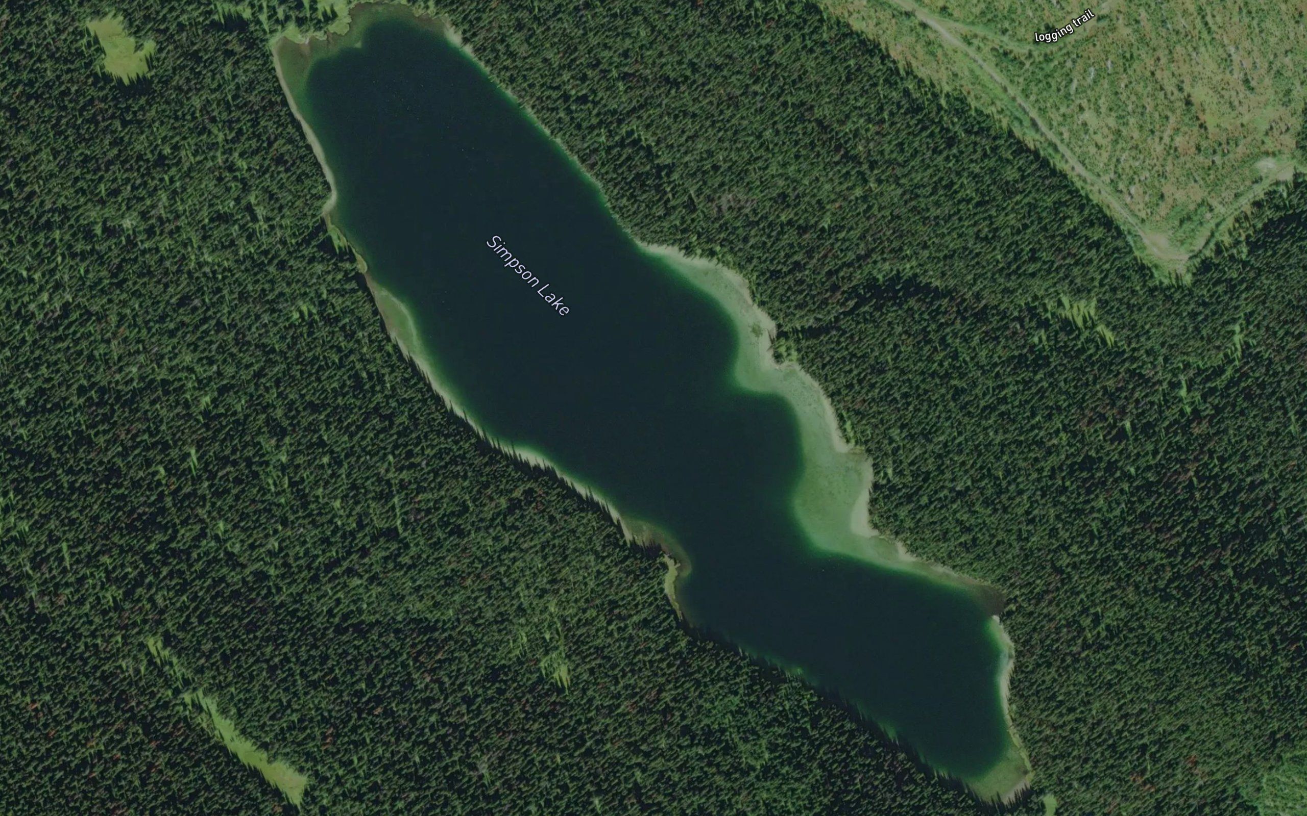 Simpson Lake