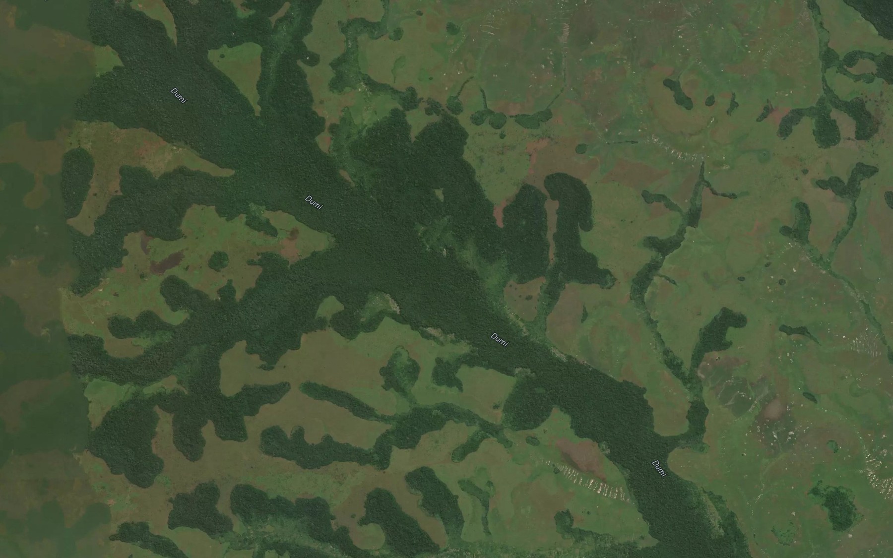Satellite map of the Lemiana