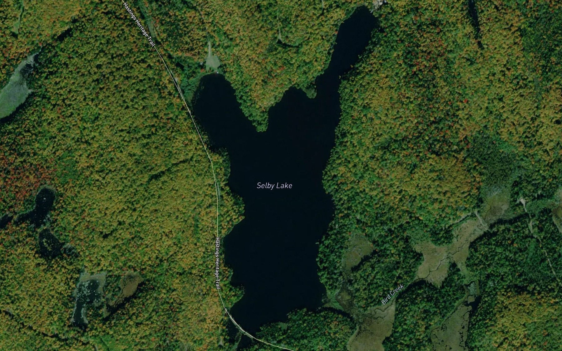 Satellite map of the Selby Lake