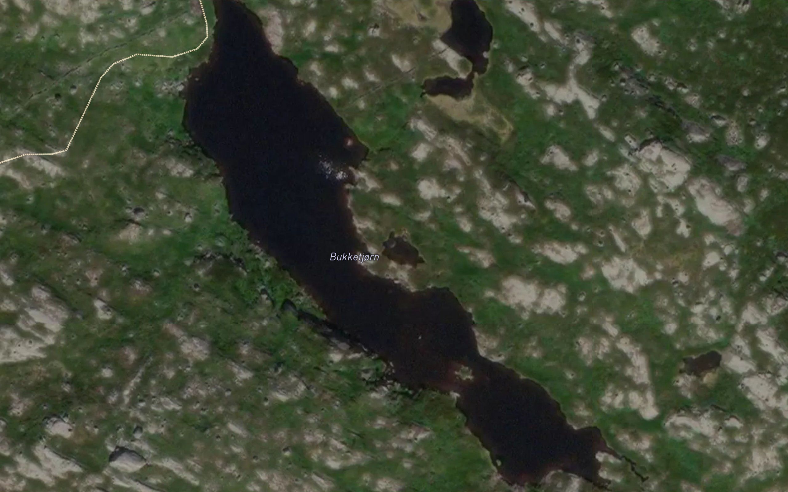 Bukketjorn