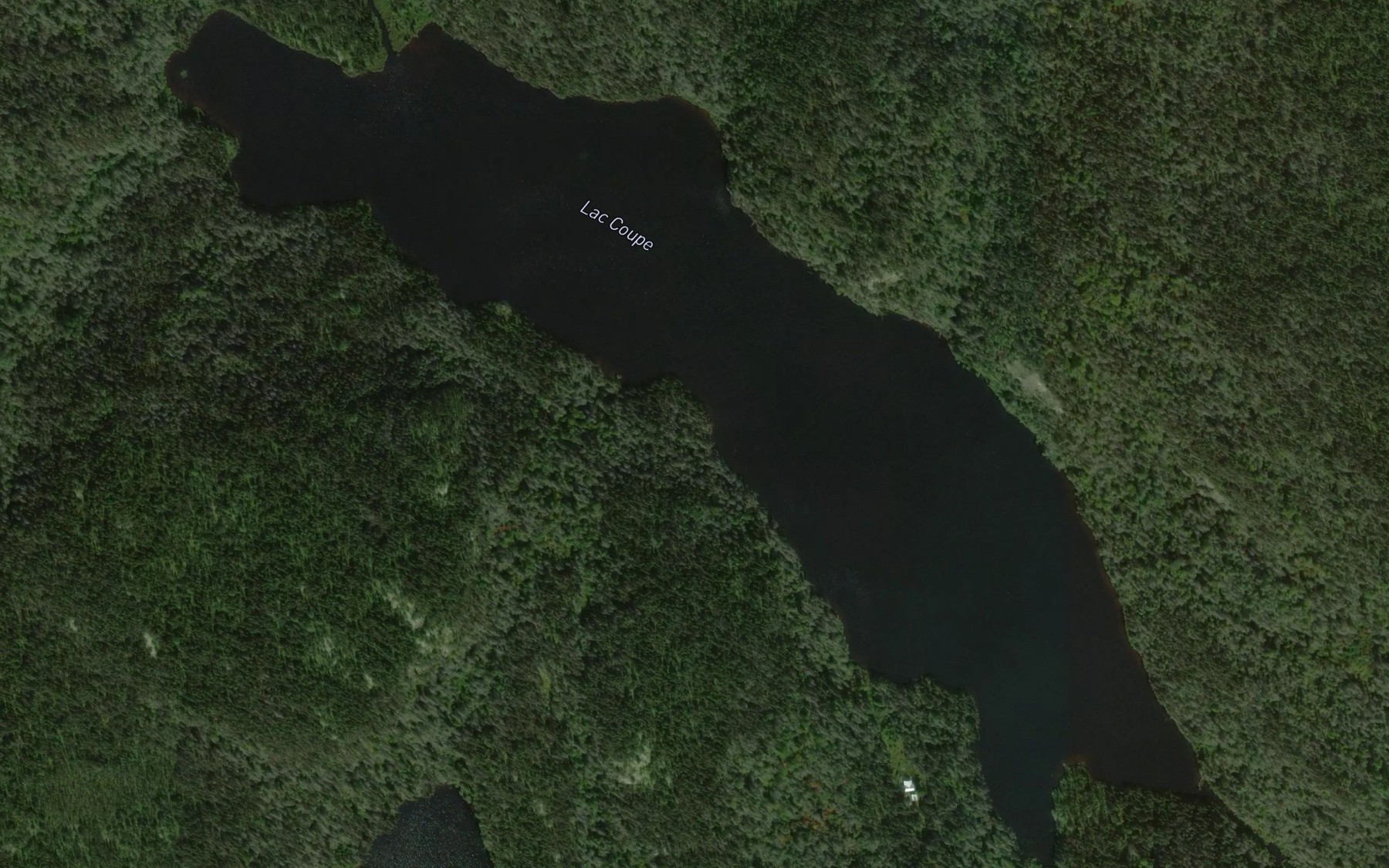 Satellite map of the Lac Coupe