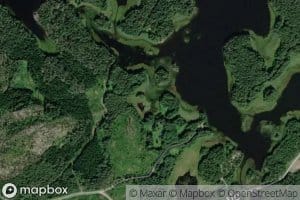 Papinniitunlahti