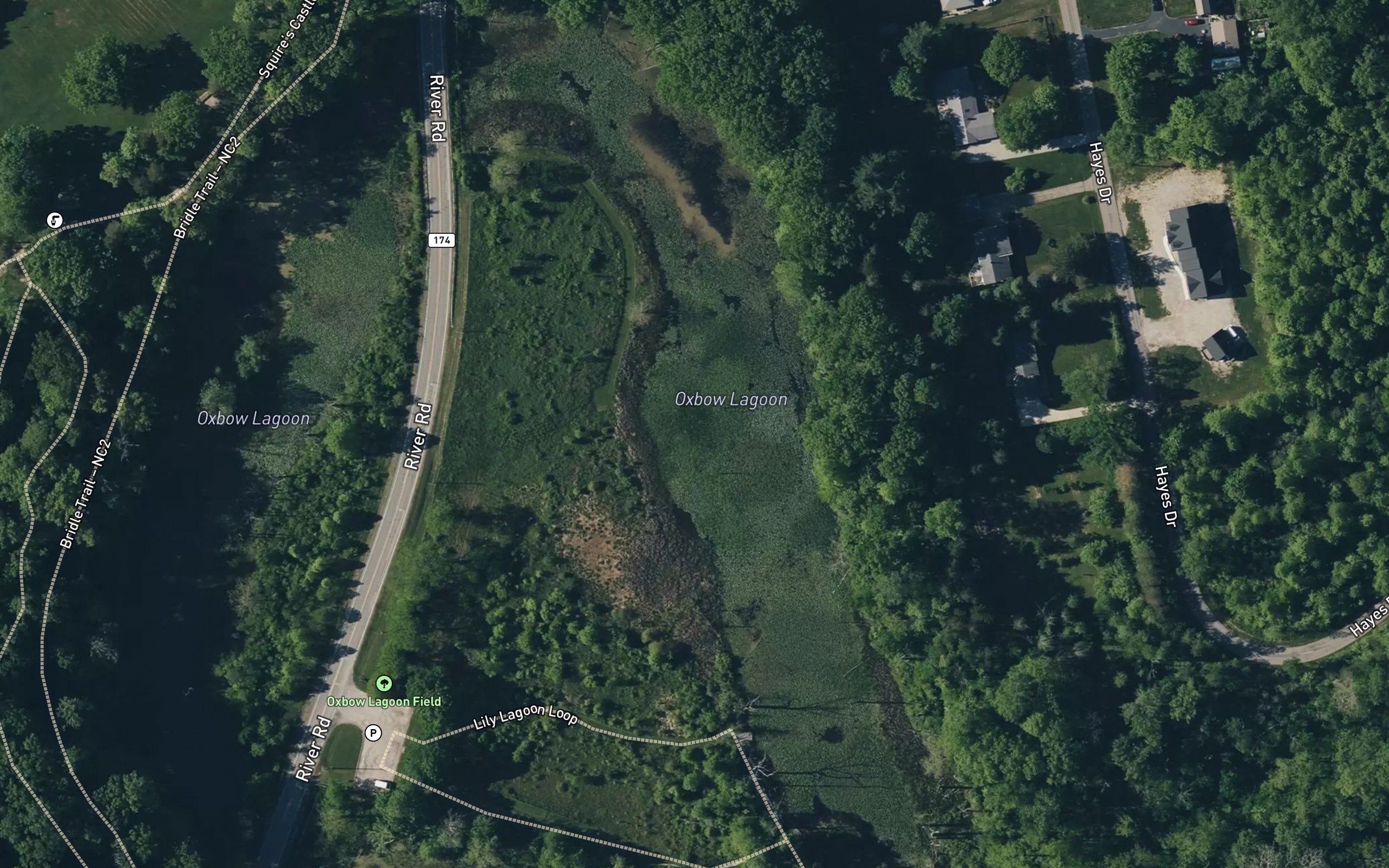 Oxbow Lagoon
