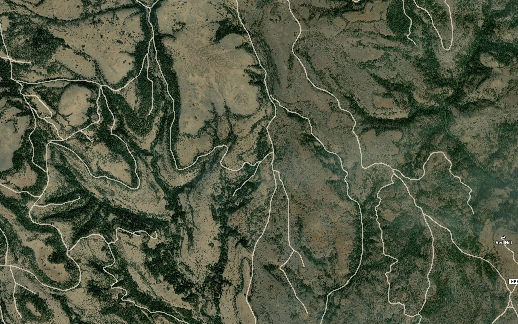 Satellite map of the Morphine Spring
