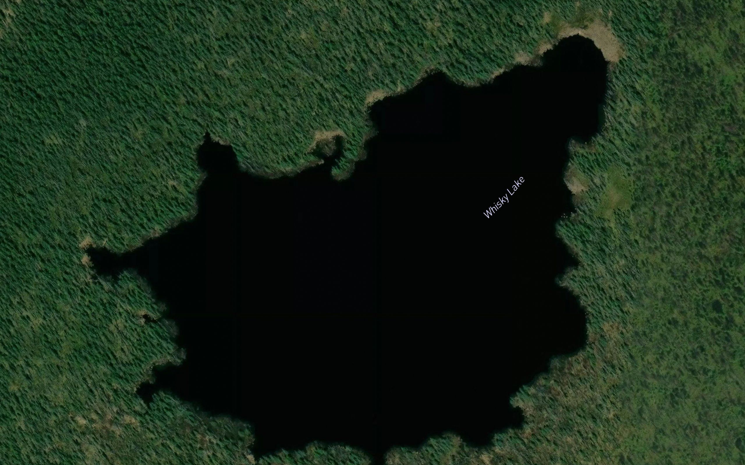 Whisky Lake