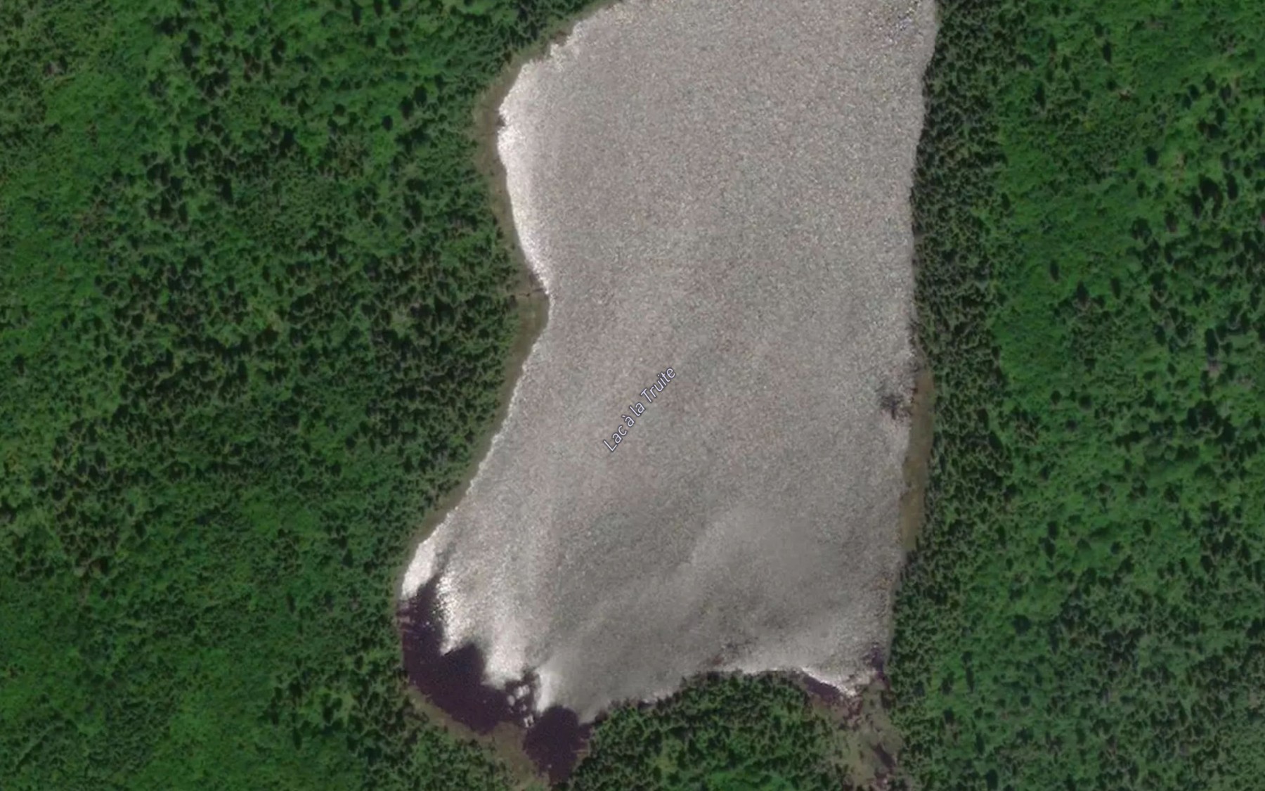 Satellite map of the Lac a la Truite