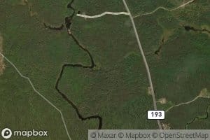 Colson Brook