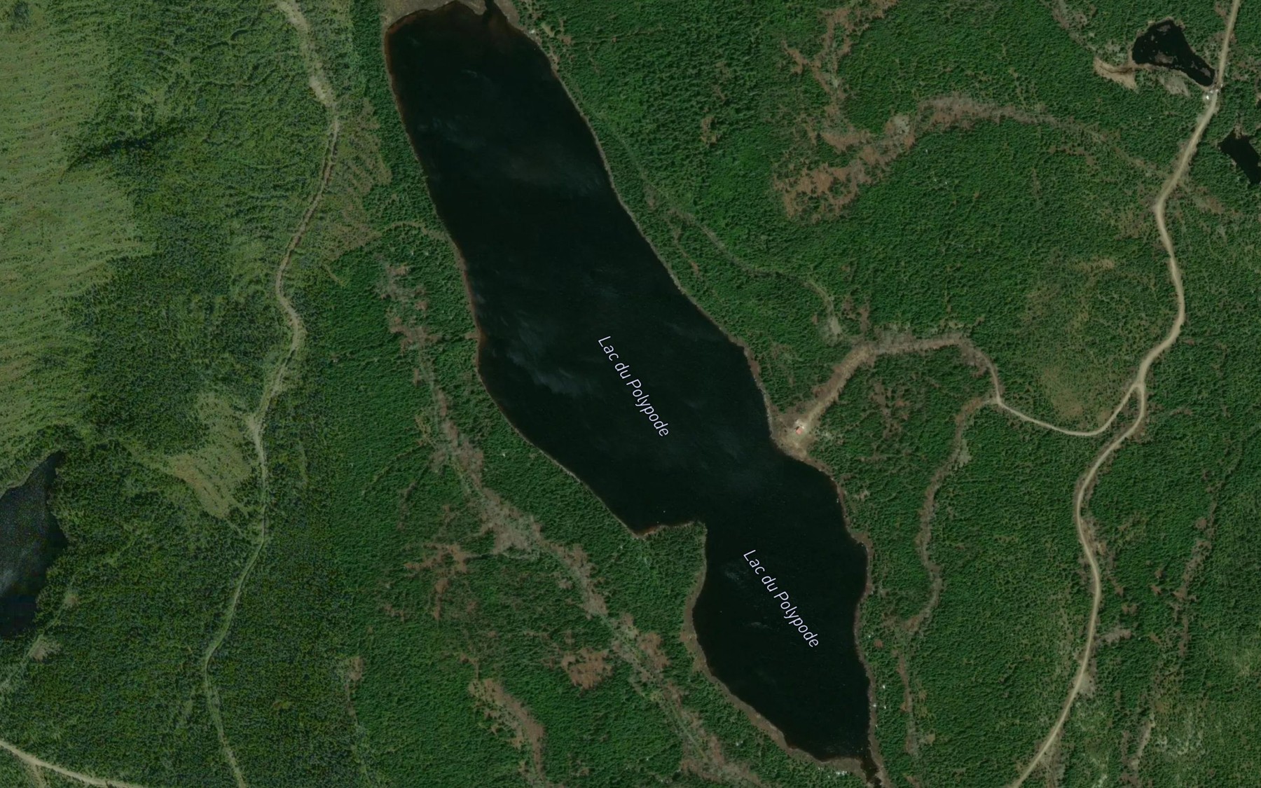 Satellite map of the Lac du Polypode