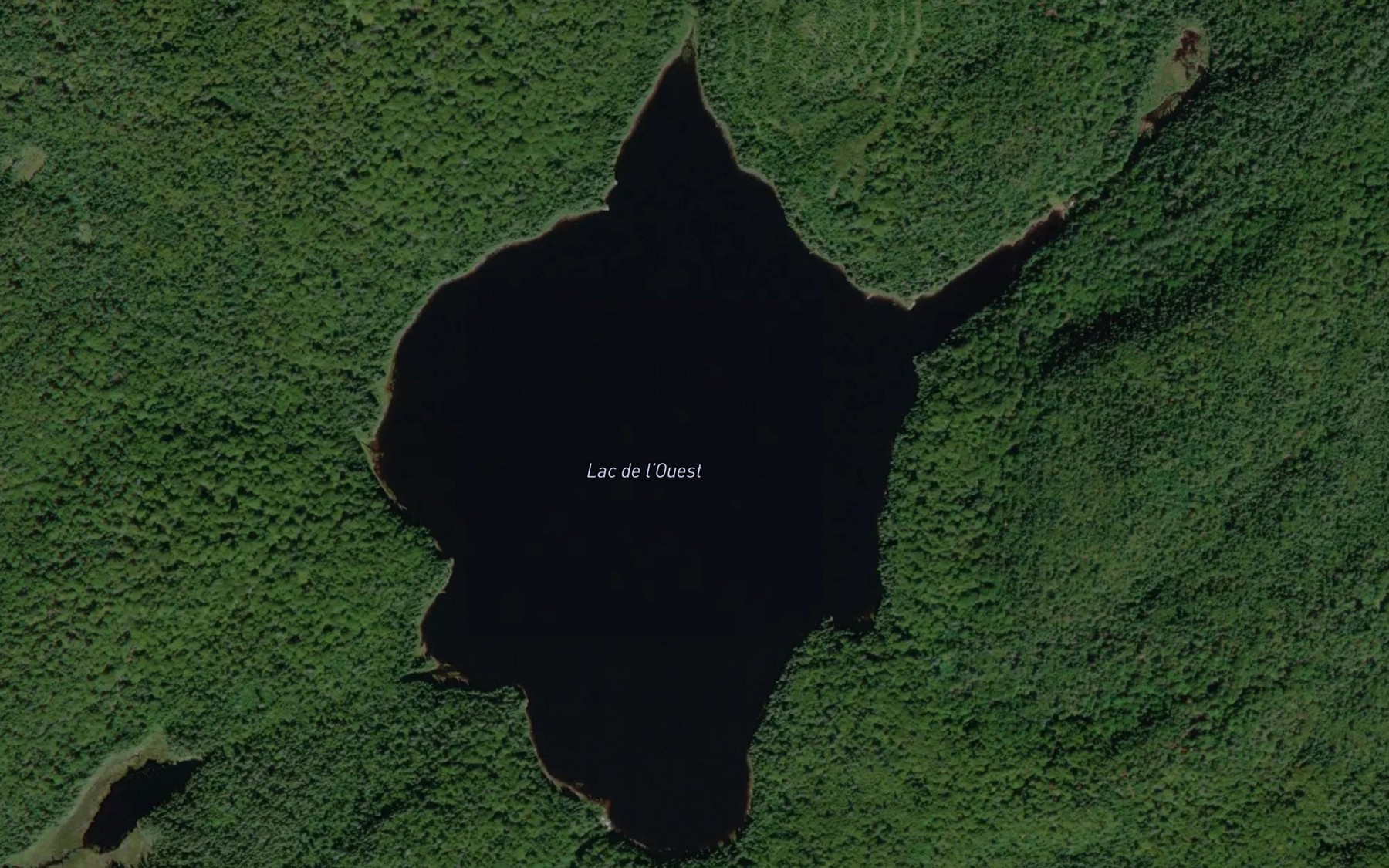 Satellite map of the Lac de l'Ouest
