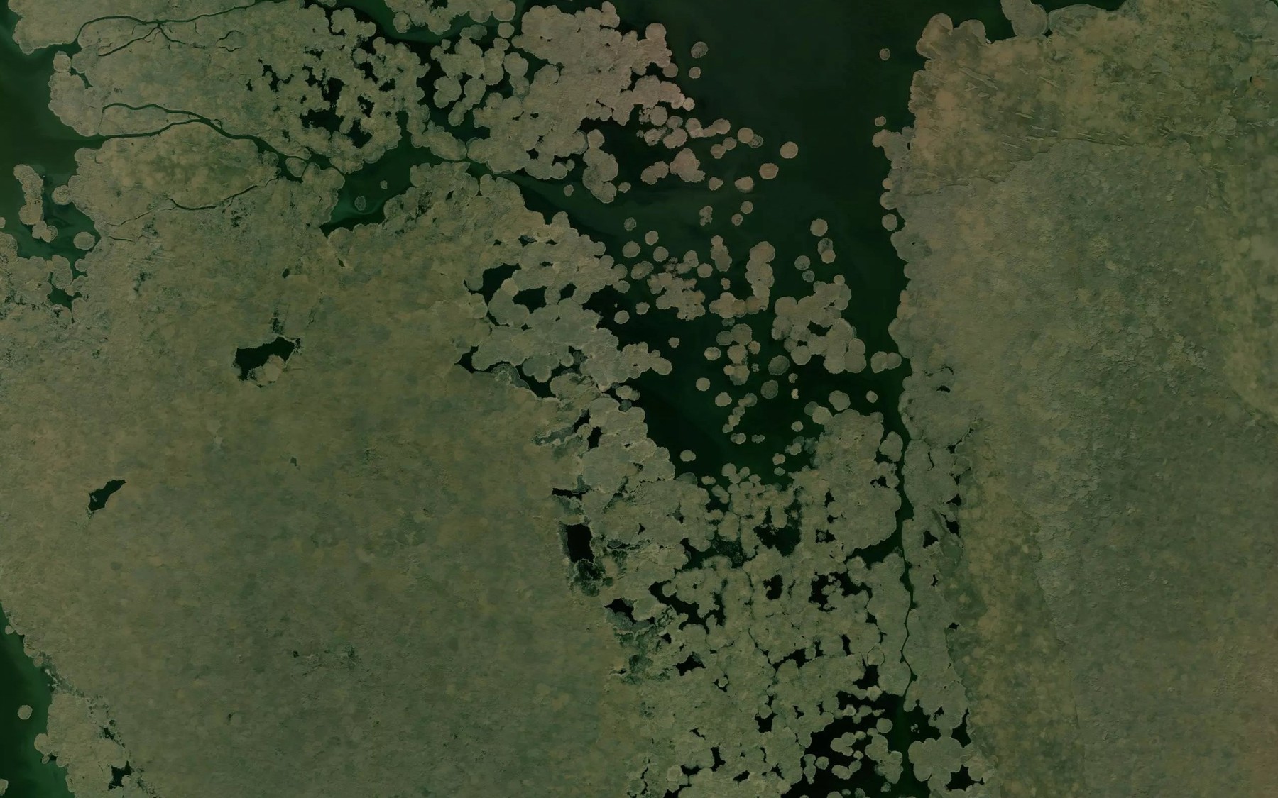 Satellite map of the Protoka Karalatskaya Borozdina
