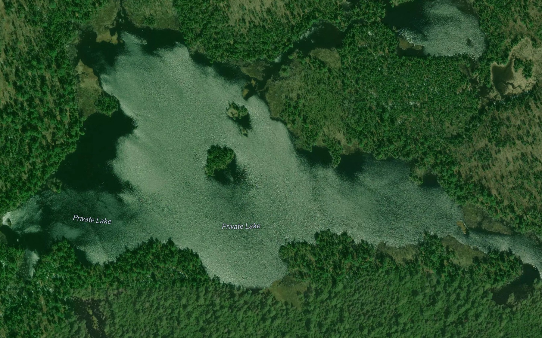 Satellite map of the Private Lake