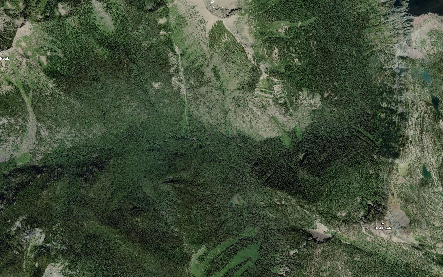 Satellite map of the South Fork Lion Creek