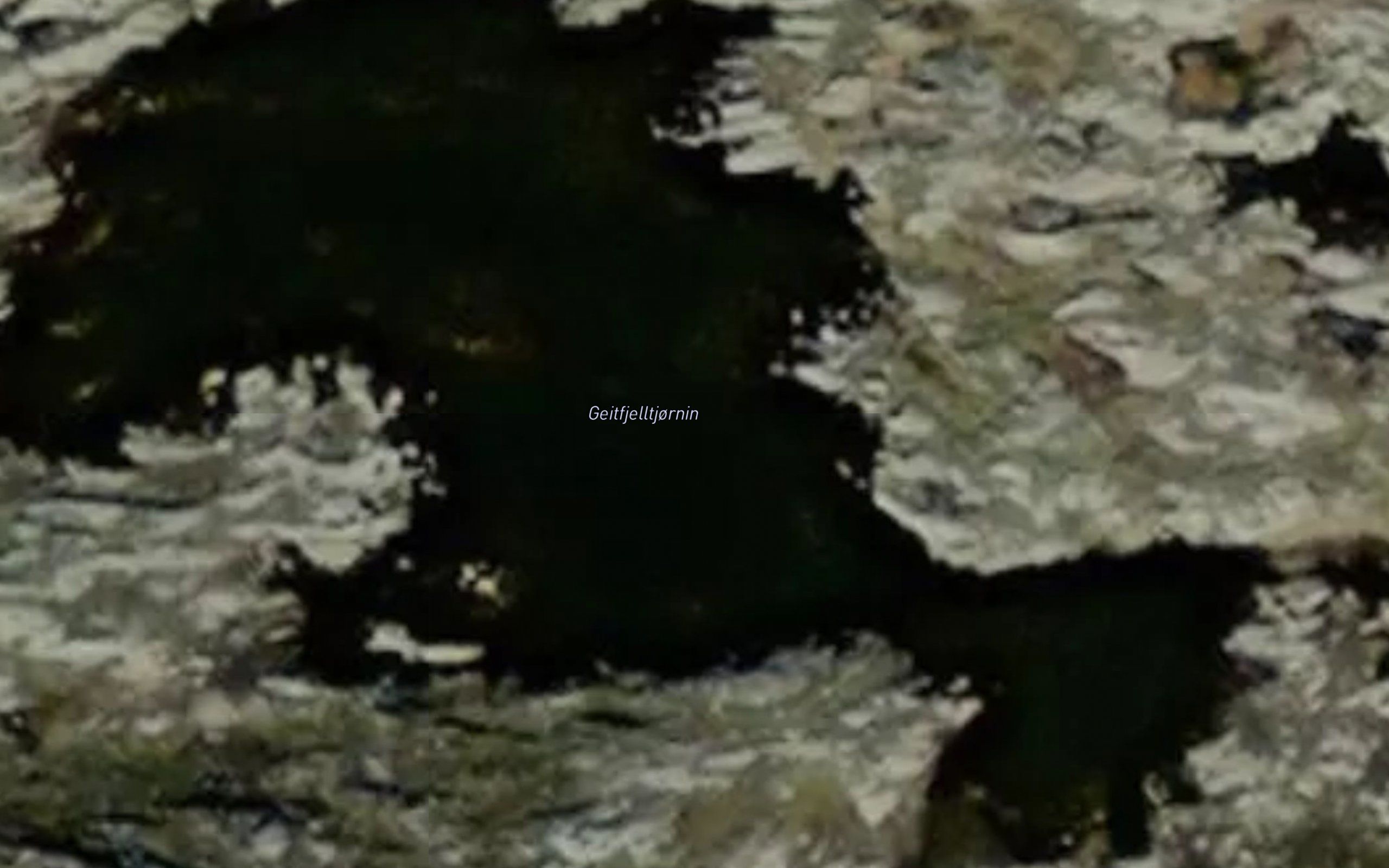 Geitfjelltjornin