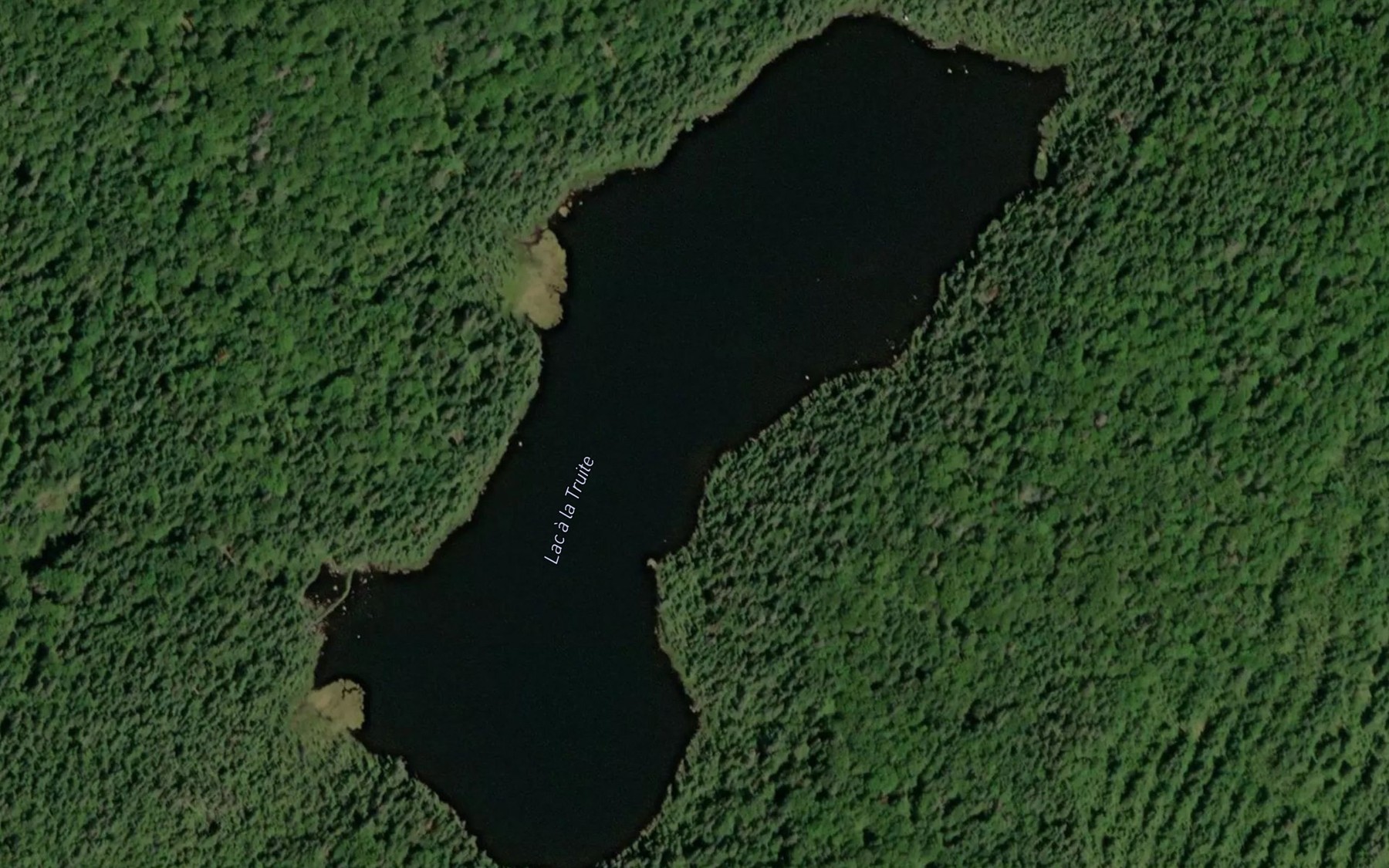 Satellite map of the Lac a la Truite