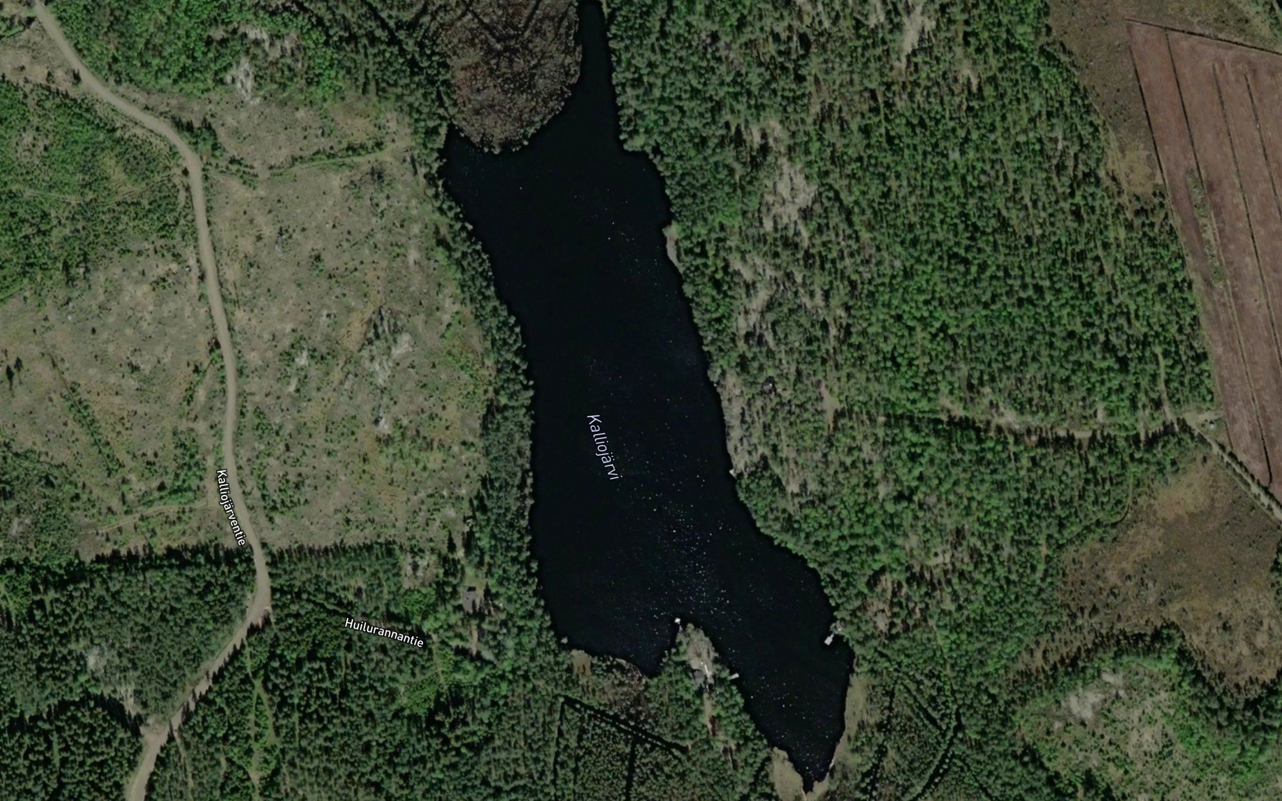Kalliojarvi