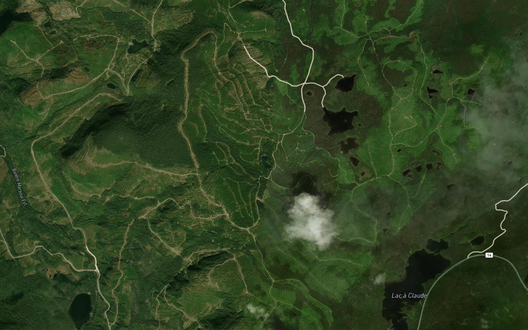Satellite map of the Lac Caillou