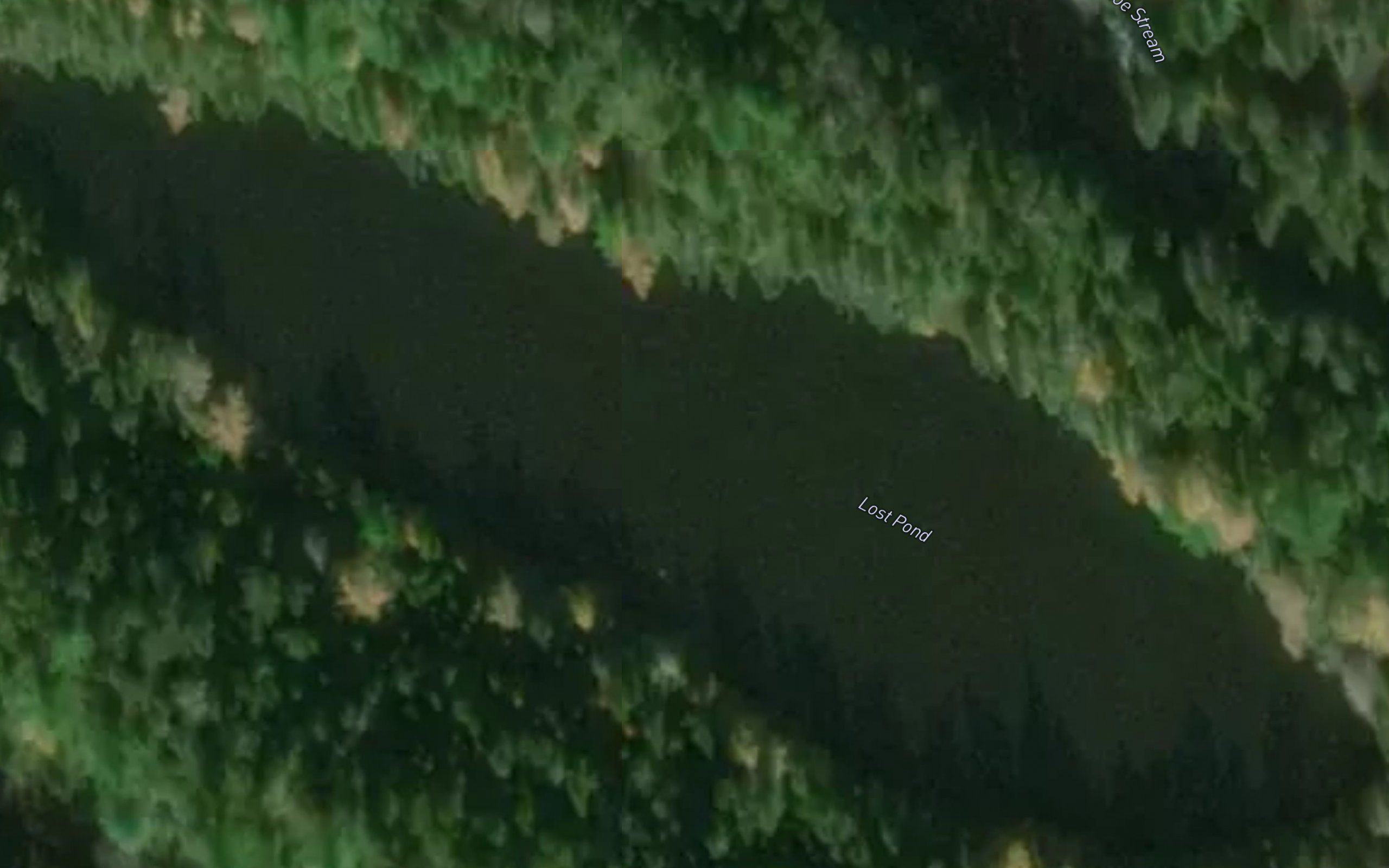 Lost Pond