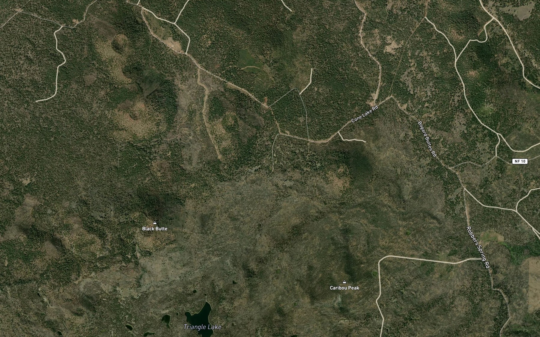 Satellite map of the Cone Lake