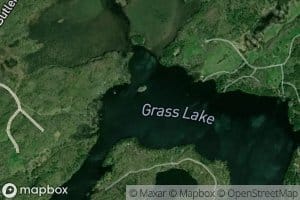 Grass Lake