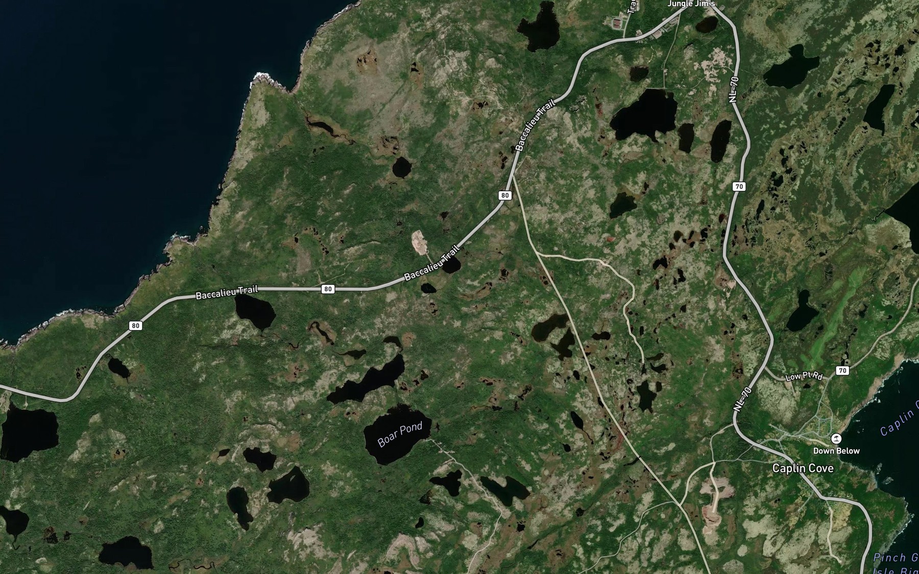 Satellite map of the Charlies Ponds