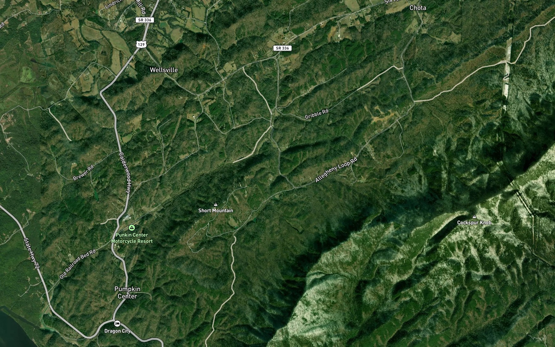 Satellite map of the Poplar Spring Branch