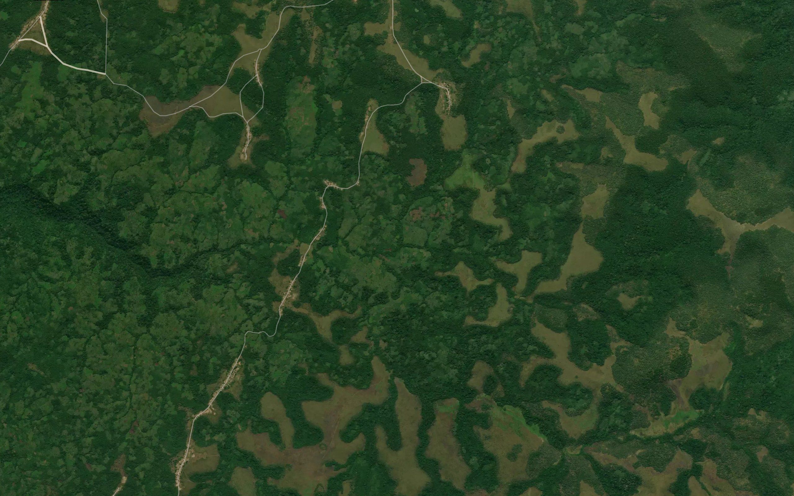Mambangua