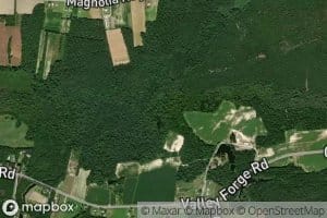 South Prong Chinners Swamp