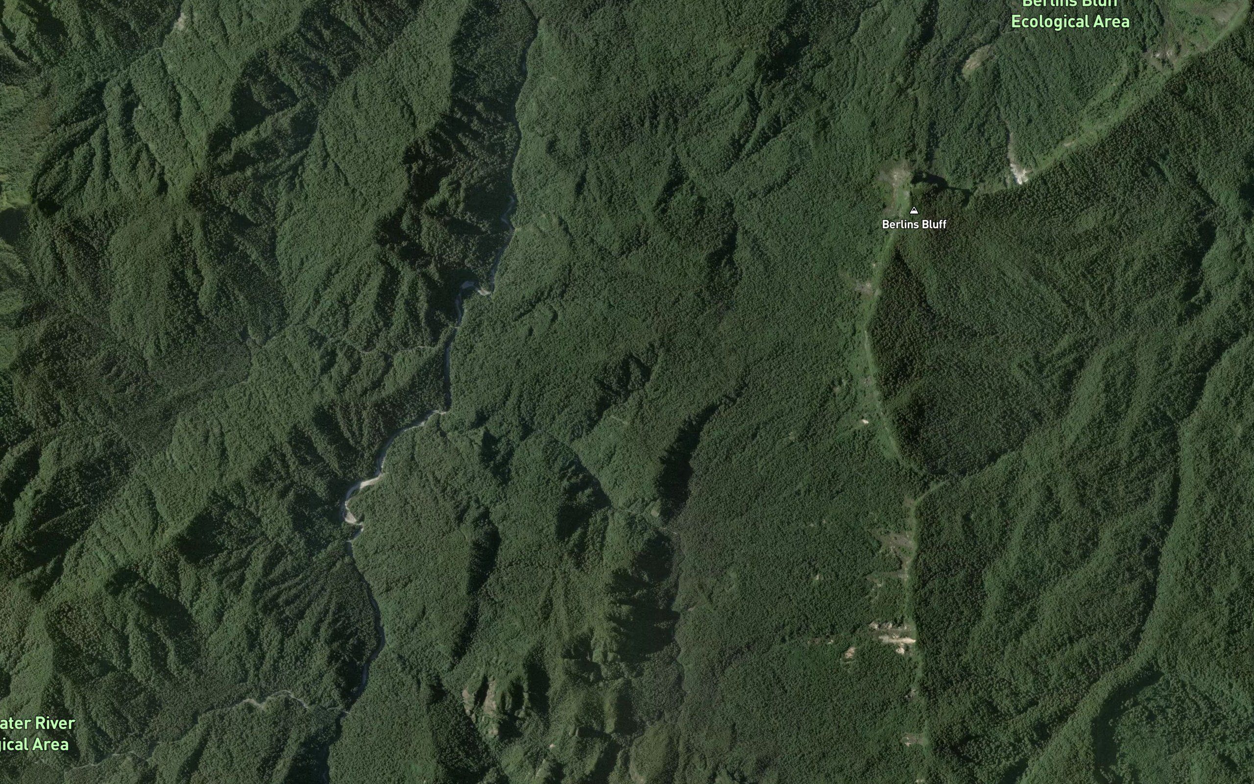 Lily Creek