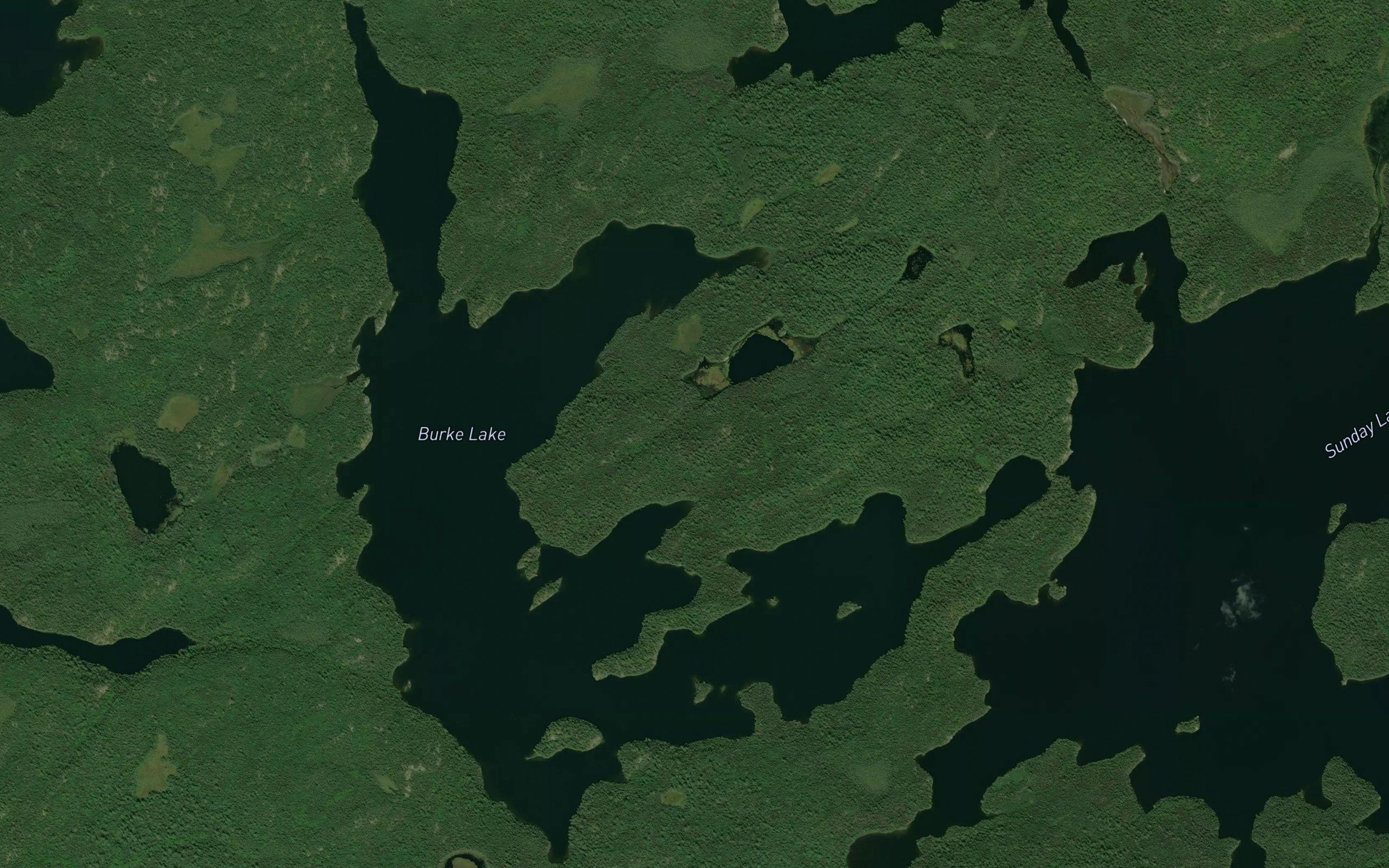 Burke Lake