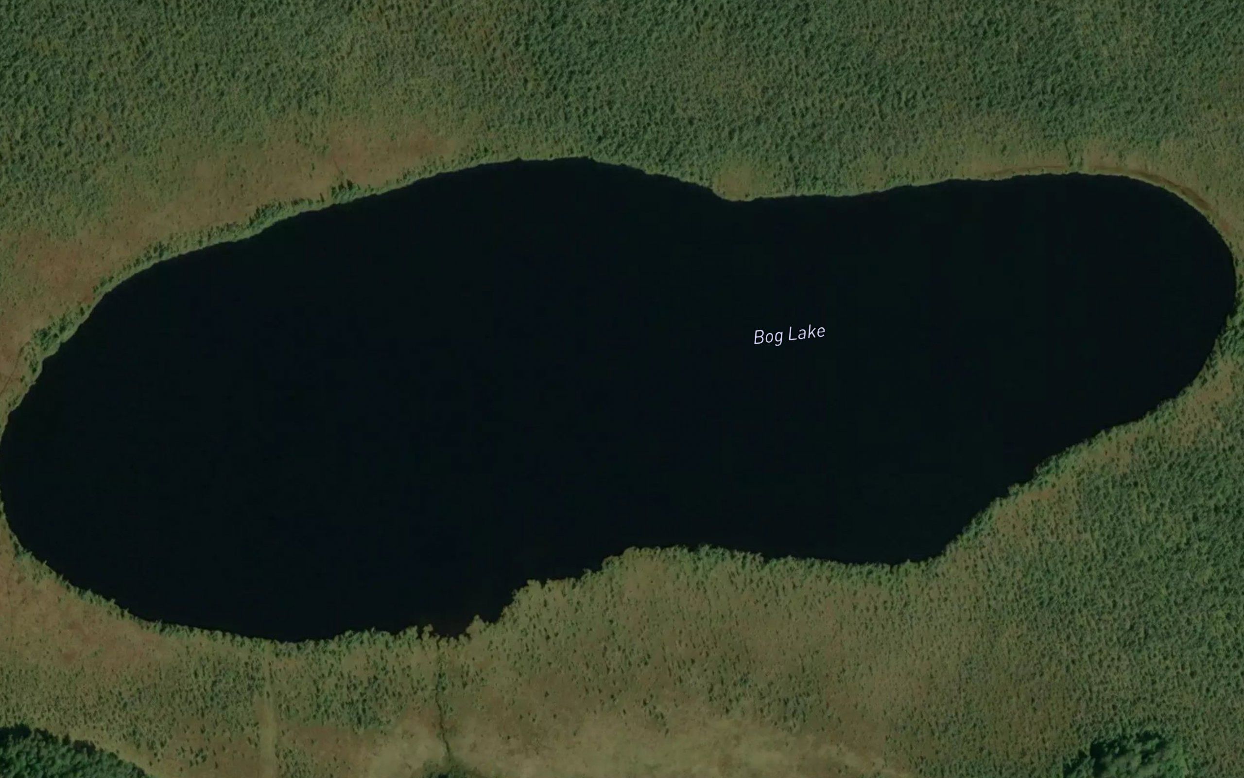 Bog Lake