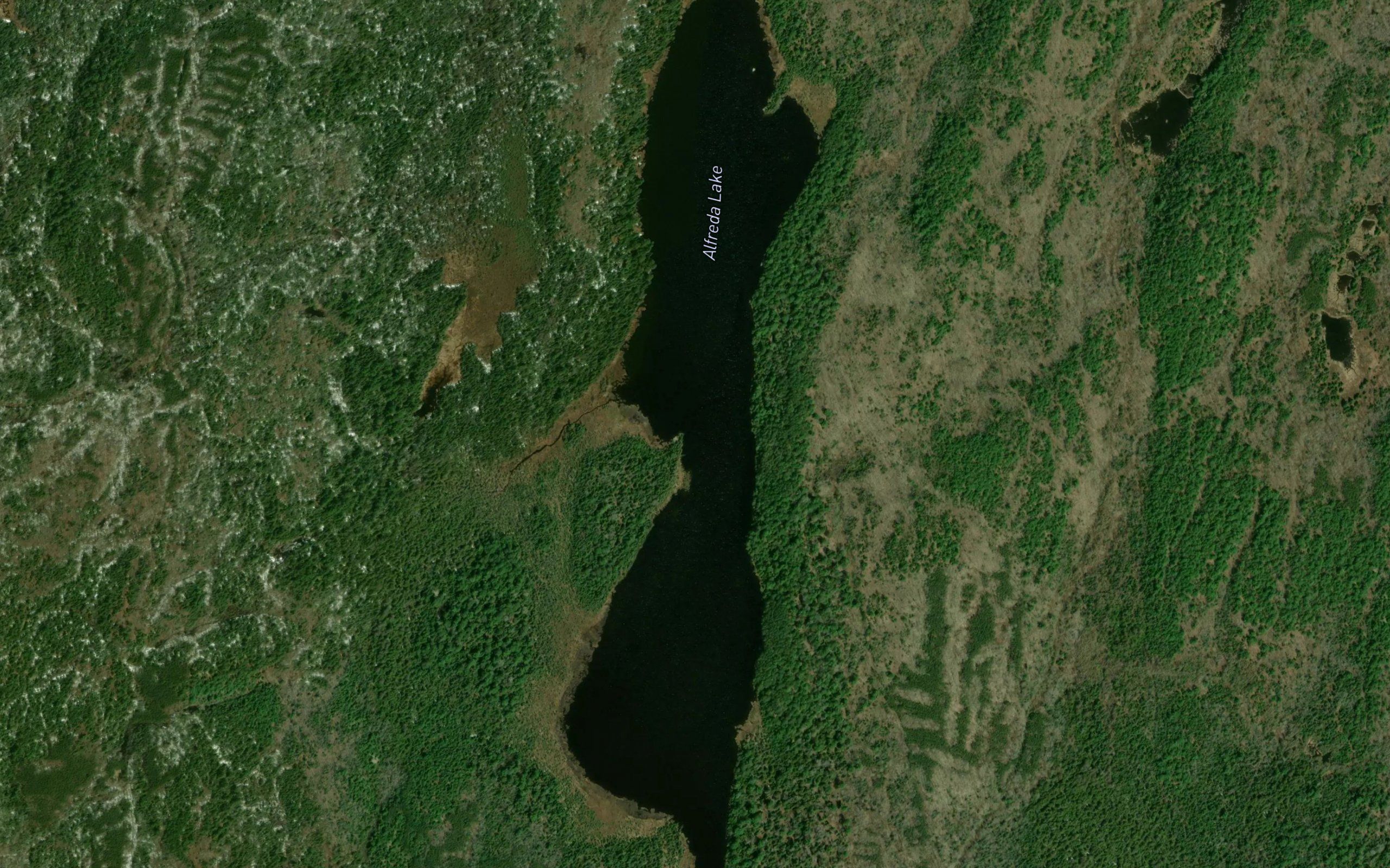 Alfreda Lake