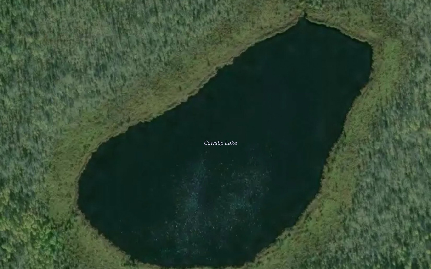 Satellite map of the Cowslip Lake
