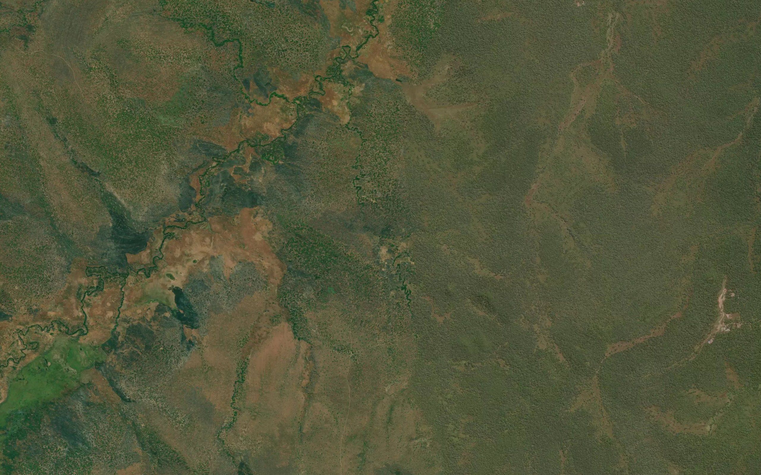 Mukoromule