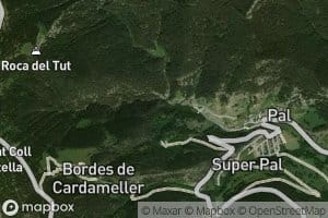 Canal del Bosc Negre