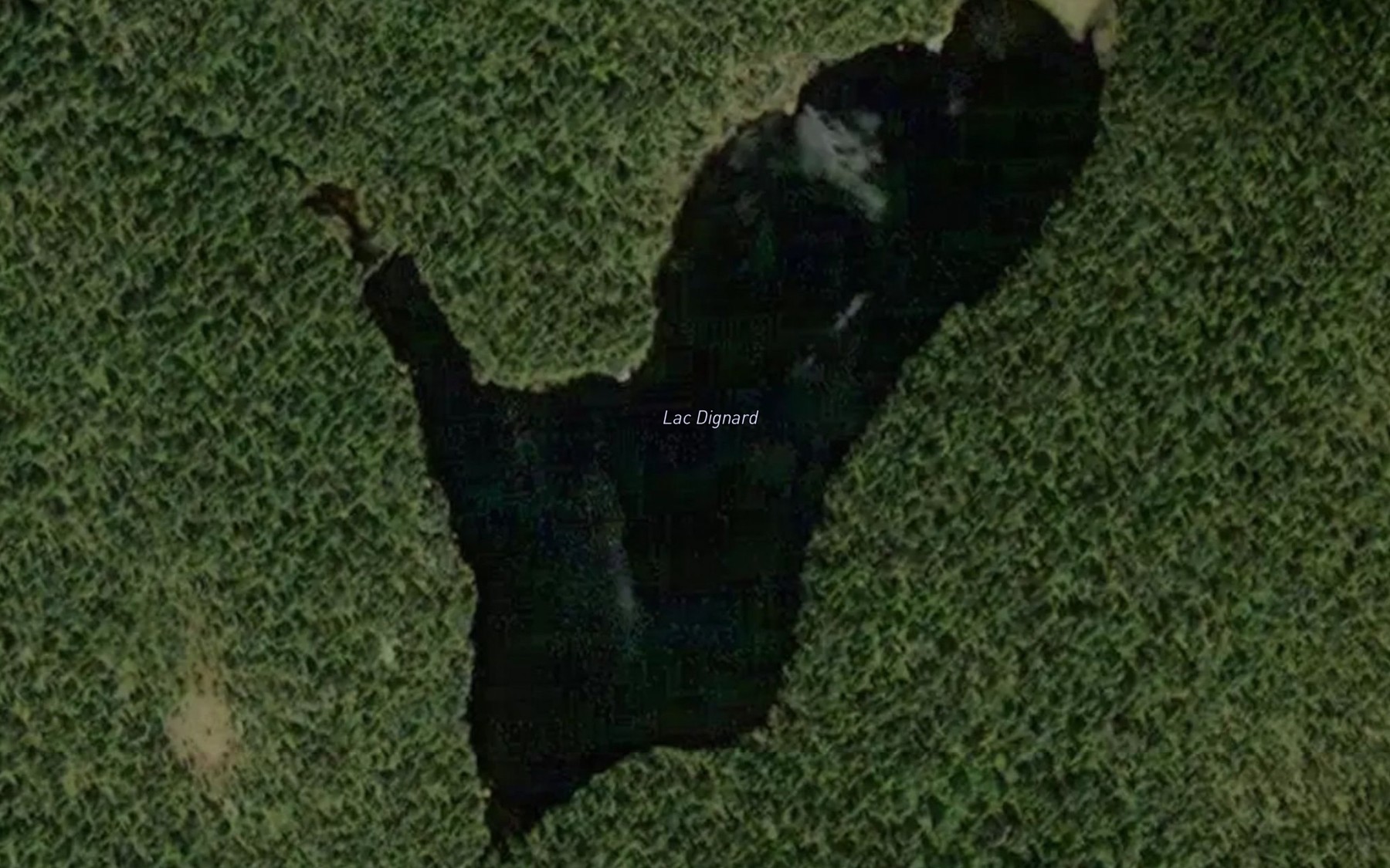 Satellite map of the Lac Dignard