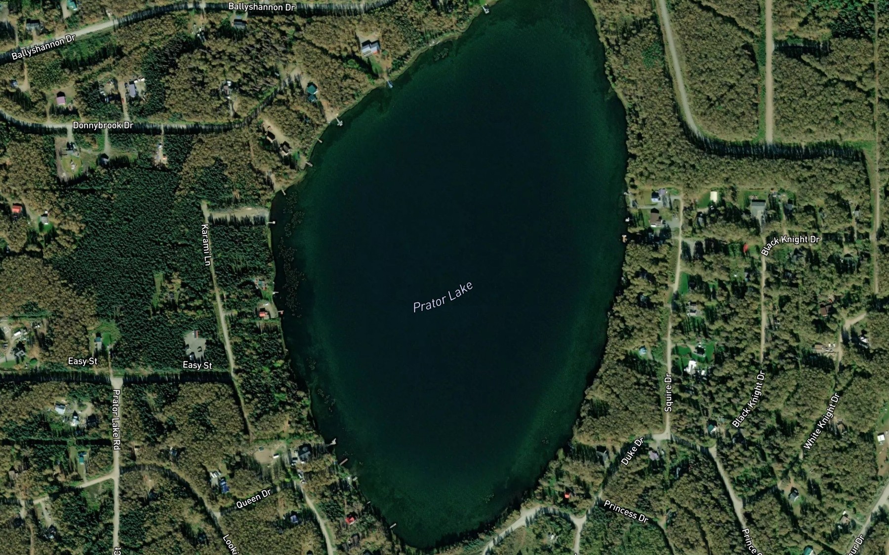 Satellite map of the Prator Lake
