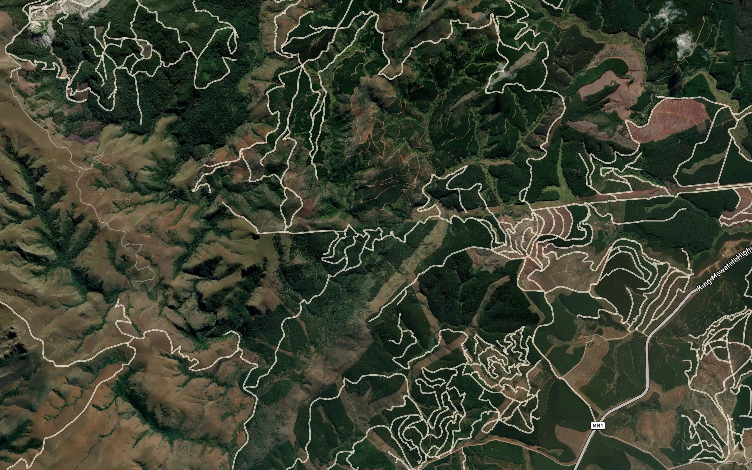 Ntsabeni
