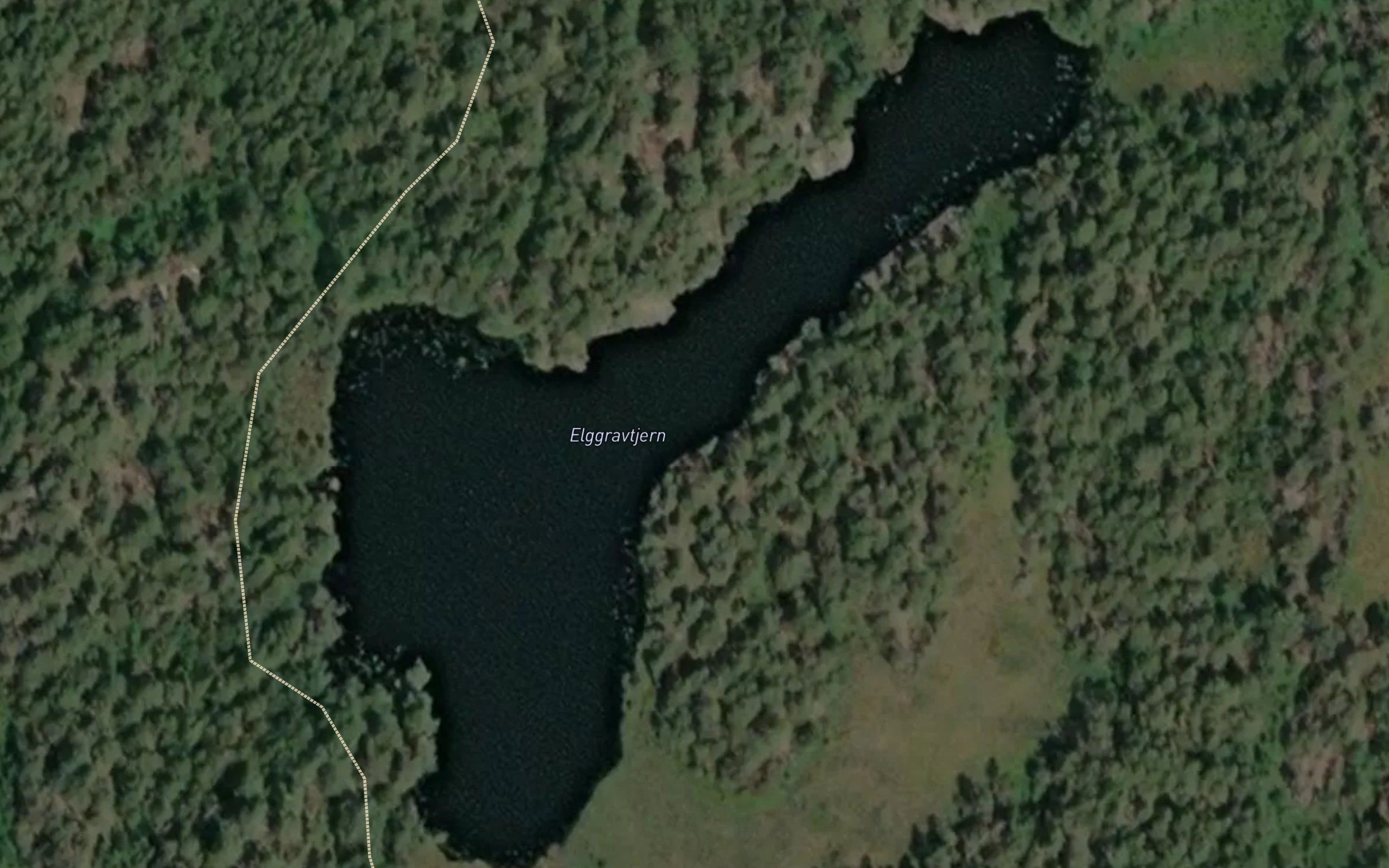 Elgsgravtjernet