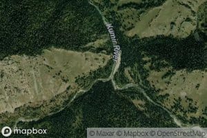 Chernovaya