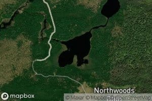Beaver Ponds