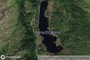 Agnetlitjorna