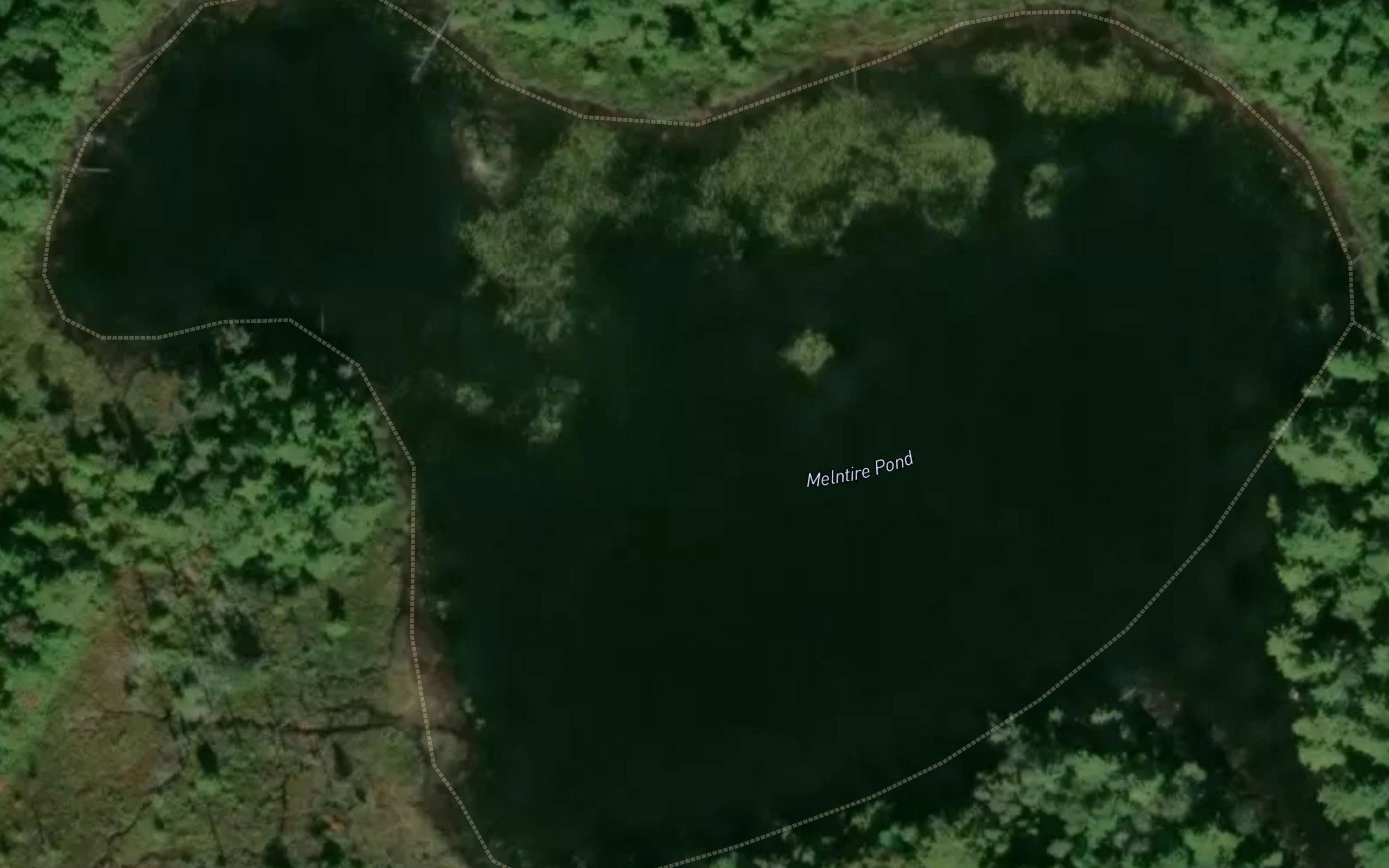 McIntire Pond