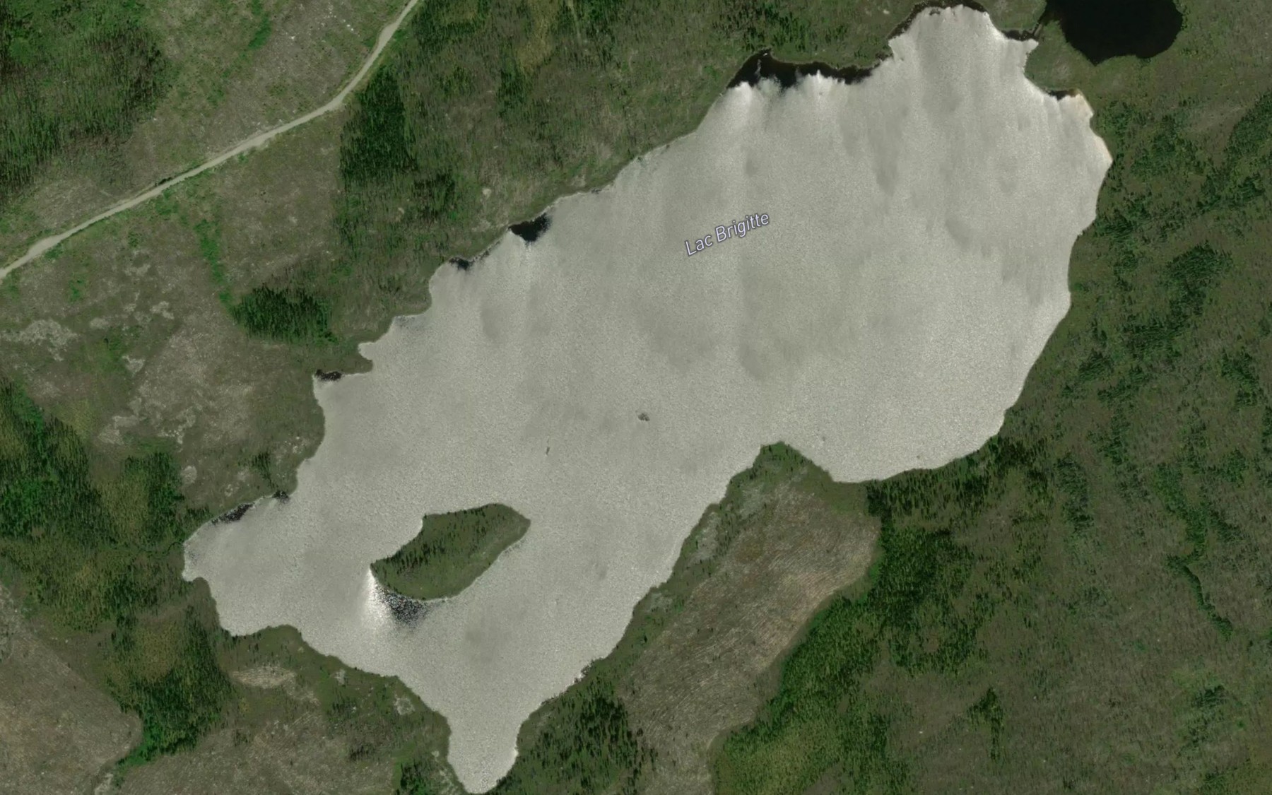 Satellite map of the Lac Brigitte