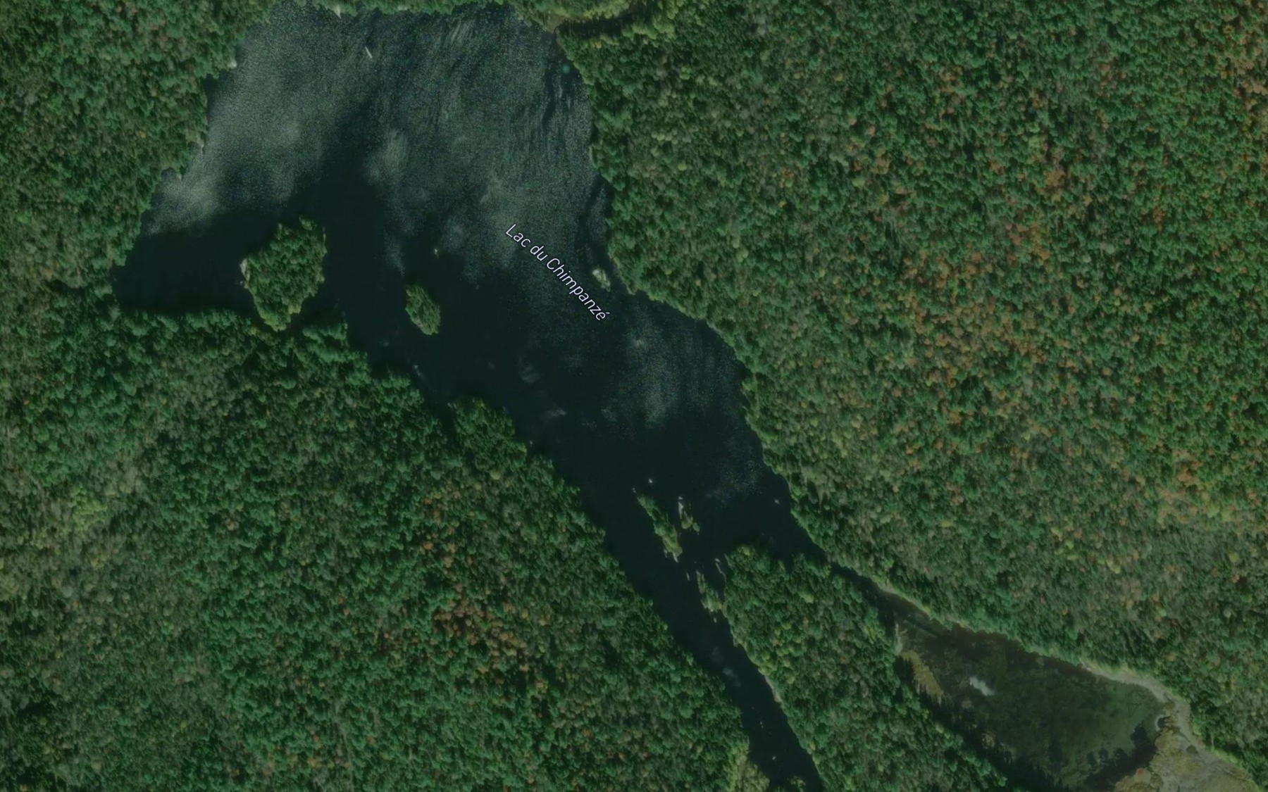 Satellite map of the Lac du Chimpanze