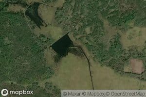 Wilson Marsh Flowage