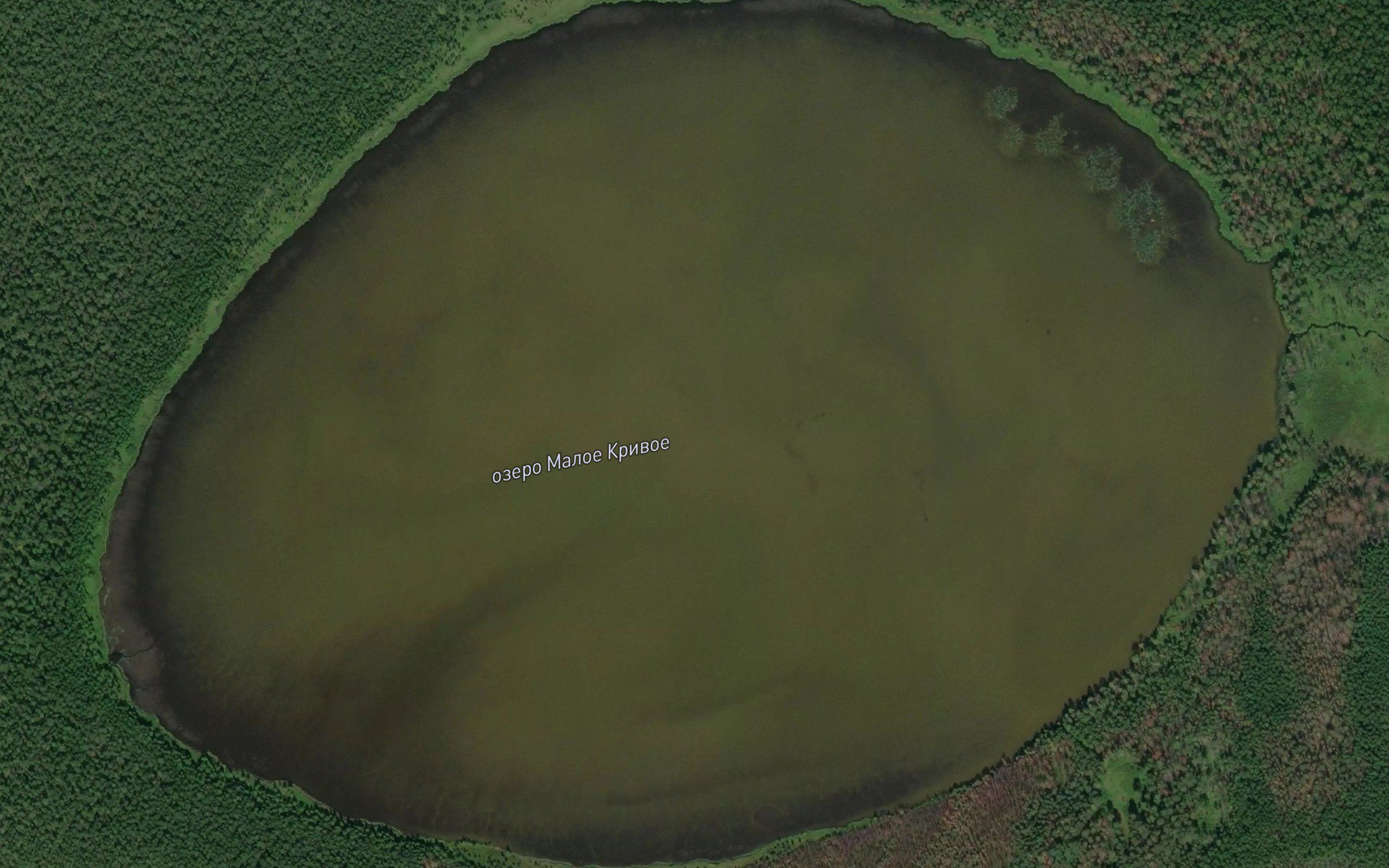 Ozero Maloye Krivoye